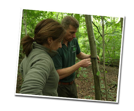 Bushcraft instruction